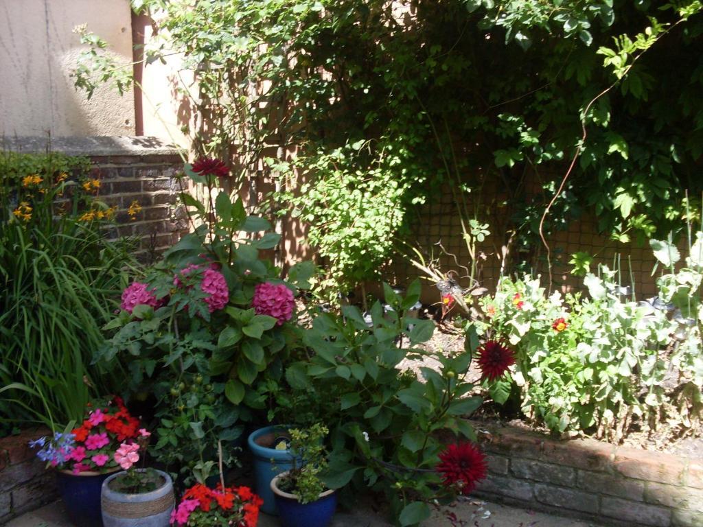 Cambridge House Guest House Eastbourne Cameră foto