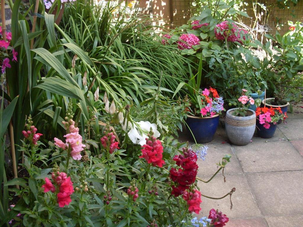 Cambridge House Guest House Eastbourne Cameră foto